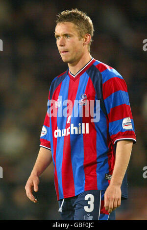 Fußball - Nationwide League Division One - Crystal Palace gegen Sunderland. Danny Granville im Crystal Palace Stockfoto