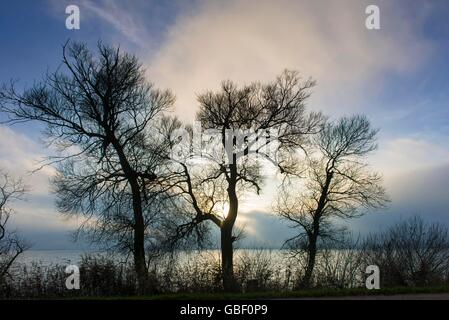 Duemmer See, Duemmerlohhausen, Niedersachsen, Deutschland, D³mmerlohhausen Stockfoto