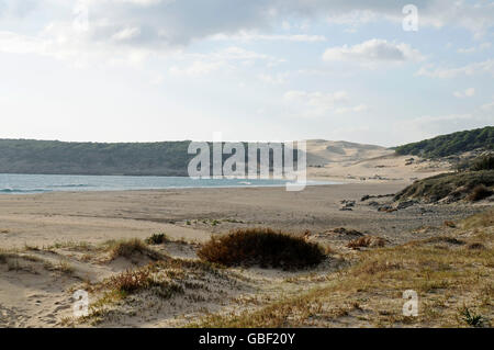 Playa de Bolonia, Strand, Tarifa, Provinz Cádiz, Costa De La Luz, Andalusien, Spanien, Europa Stockfoto