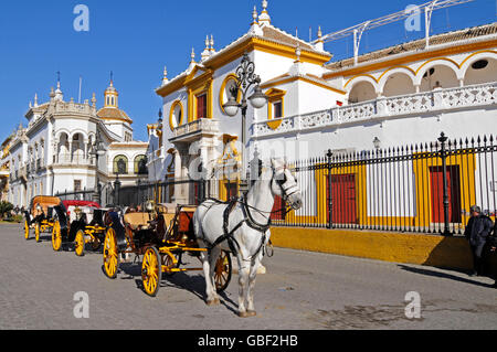 Horse-drawn Wagen, Plaza de Toros De La Maestranza Stierkampfarena, Museum, Sevilla, Sevilla Provinz, Andalusien, Spanien, Europa Stockfoto