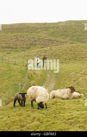 General Stock - Dorset Wahrzeichen. GV of Maiden Castle in der Nähe von Dorchester, Dorset. Es ist das größte und komplexeste Eisenzeit-Bergfort in Großbritannien. Stockfoto