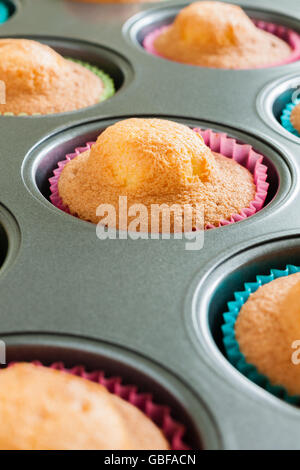 Frisch gebackene Schwamm, Cupcakes oder Feenkuchen in ein Muffinblech gerade aus dem Ofen Stockfoto