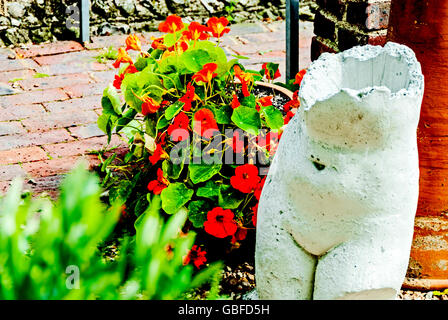 Garten im Charleston Farmhouse (Sussex); Garten von Charleston, Lebensort der Bloomsbury Group Stockfoto