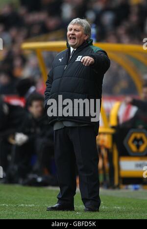 Fußball - Coca-Cola Football League Championship - Wolverhampton Wanderers V Plymouth Argyle - Molineux Stockfoto