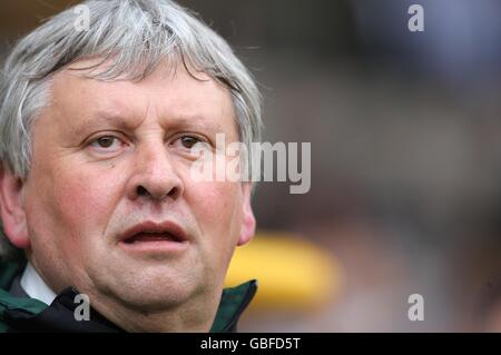 Fußball - Coca-Cola Football League Championship - Wolverhampton Wanderers V Plymouth Argyle - Molineux Stockfoto