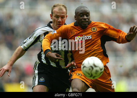 Fußball - FA Barclaycard Premiership - Newcastle United / Wolverhampton Wanderers. Alan Shearer von Newcastle United und Shaun Newton von Wolverhampton Wanderers Stockfoto