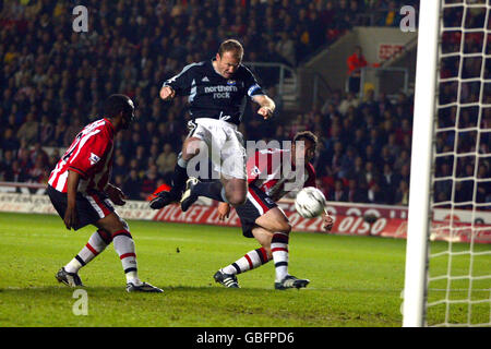 Fußball - FA Barclaycard Premiership - Southampton V Newcastle United Stockfoto