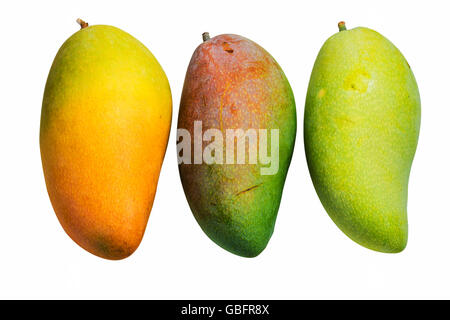 reif und roh Mango auf einem weißen Hintergrund. Stockfoto