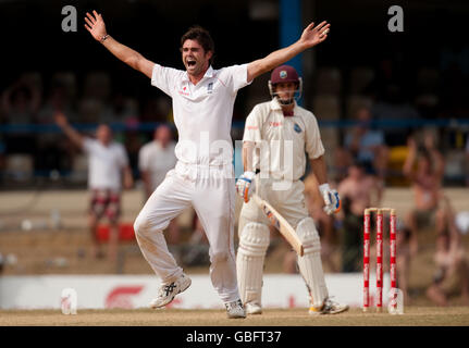 Der englische James Anderson feiert die Entlässt von West Indies' Brendan Nash beim fünften Test im Queen's Park Oval, Port of Spain, Trinidad. Stockfoto