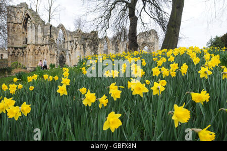 Gebäude und Wahrzeichen - Str. Marys Abbey - York Stockfoto