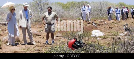 Der Prinz von Wales und die Herzogin von Cornwall beobachten auf der North Seymour Island, die zu den Galapagos-Inseln im Pazifischen Ozean gehört, einen großen Fregatte-Vogel, der brütet. Stockfoto