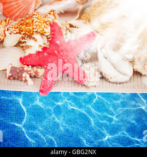 starfish and seashells border Stockfoto