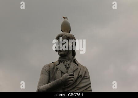 Auf den Schultern von Riesen stehen. Eine Möwe macht seine/ihre Barsch auf der Statue von Robert Burns in Dumfries, Schottland. Stockfoto