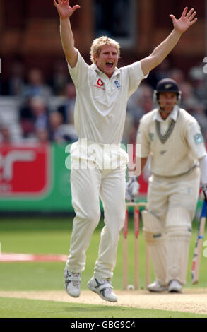 Cricket - npower First Test - England gegen Neuseeland - erster Tag. Der englische Matthew Hoggard feiert die Aufnahme des neuseeländischen Craig McMillan Stockfoto