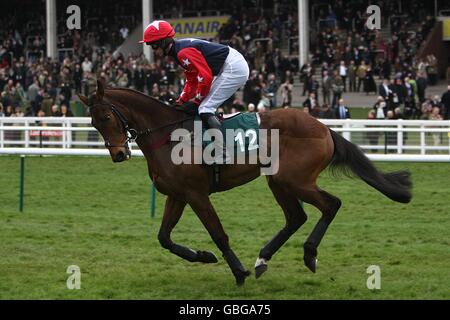 Pferderennen - Cheltenham Festival 2009 - Tag Drei - Cheltenham Rennbahn. Something Wells, geritten von Jockey William Biddick, der vor der Freddie Williams Festival Plate Handicap Chase posten wird. Stockfoto