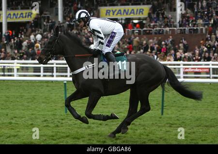 Pferderennen - Cheltenham Festival 2009 - Tag Drei - Cheltenham Rennbahn. Akilak unter Jockey Denis O'Regan, der vor der Freddie Williams Festival Plate Handicap Chase posten wird. Stockfoto