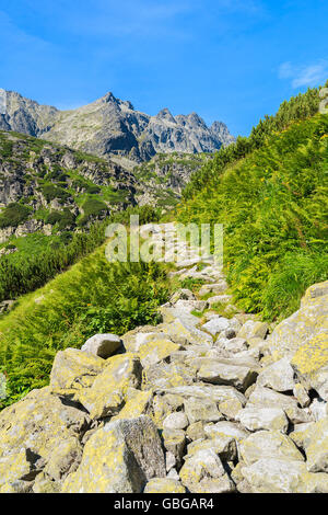 Wanderweg zum Starolesna-Tal im Sommerlandschaft der hohen Tatra, Slowakei Stockfoto