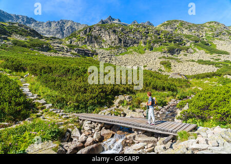 Junge Frau Backpacker stehend auf Holzsteg über Strom des Wassers im Sommerlandschaft der hohen Tatra, Slowakei Stockfoto