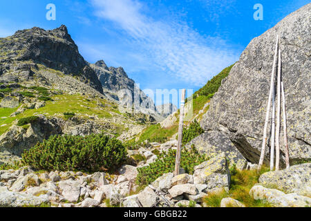 Wanderweg zum Starolesna Tal in der hohen Tatra an sonnigen Sommertag, Slowakei Stockfoto