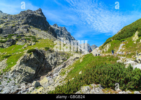 Touristen auf Wandern trail ins Starolesna Tal in der hohen Tatra auf sonnigen Sommertag, Slowakei Stockfoto