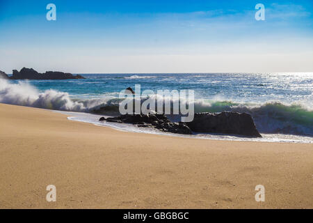 Riesige Wellen brechen auf Felsen in Garrapata State Beach in Kalifornien, USA Stockfoto