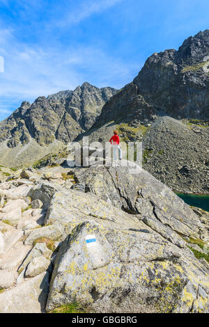 Junge Frau Touristen stehen auf Felsen am Wanderweg im Sommerlandschaft der hohen Tatra, Slowakei Stockfoto