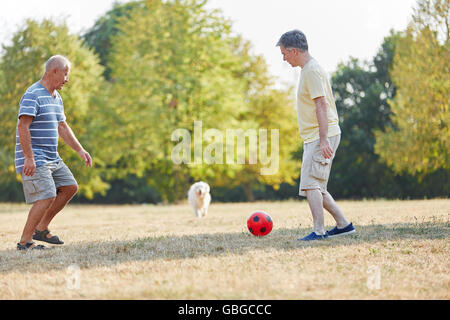 Zwei Senioren Fußball im Park mit ihrem Hund spielen Stockfoto