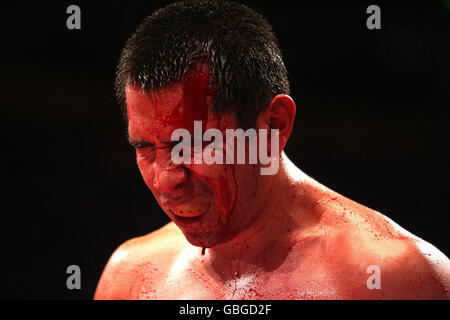 Boxen - leichte Bout - Amir Khan V Marco Antonio Barrera Tapia - Männer Stockfoto