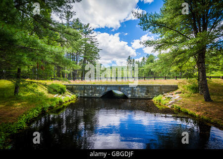 Brücke über einen Teich an Bear Brook State Park, New Hampshire. Stockfoto