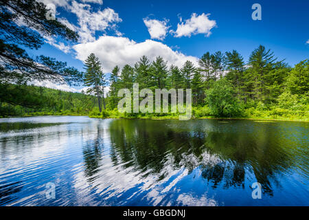 See an Bear Brook State Park, New Hampshire. Stockfoto