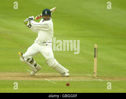 Cricket - Frizzell County Meisterschaften - Division One - Warwickshire V Surrey Stockfoto