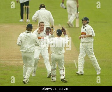 Cricket - Frizzell County Meisterschaften - Division One - Warwickshire V Surrey Stockfoto