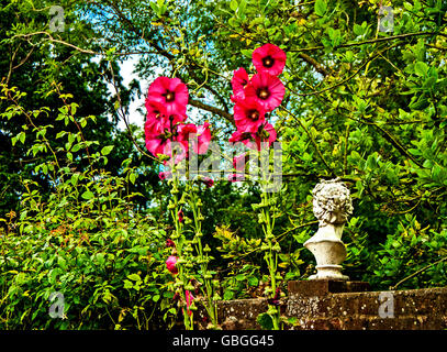 Garten im Charleston Farmhouse (Sussex); Garten von Charleston, Lebensort der Bloomsbury Group Stockfoto