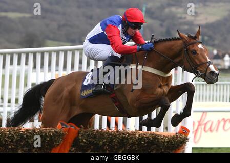 Pferderennen - Cheltenham Festival 2009 - Tag 1 - Cheltenham Rennbahn. Golden Way von Jockey Jamie Goldstein während der williamhill.com Supreme Novices Hürde auf der Cheltenham Racecourse, Cheltenham gefahren. Stockfoto