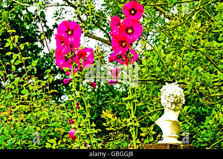 Garten im Charleston Farmhouse (Sussex); Garten von Charleston, Lebensort der Bloomsbury Group Stockfoto