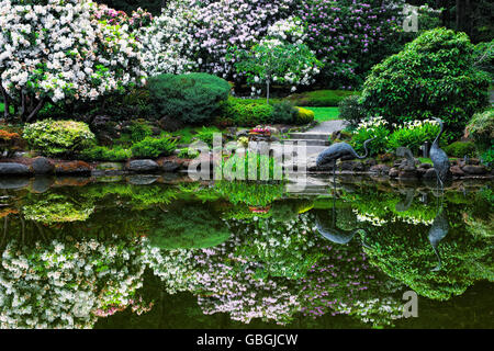 Frühling Blüte Reflexionen im Lily Pond im Shore Acres State Park Botanical Garden im Süden Oregons Küste. Stockfoto