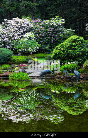 Frühling Blüte Reflexionen im Lily Pond im Shore Acres State Park Botanical Garden im Süden Oregons Küste. Stockfoto