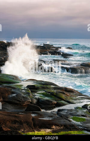 Am Abend Licht zeigt Wellen und hohe Brandung hämmerte der Basalt Küstenlinie entlang der zentralen Küste Oregons im Ruhestand. Stockfoto