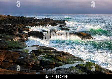 Am Abend Licht zeigt Wellen und hohe Brandung hämmerte der Basalt Küstenlinie entlang der zentralen Küste Oregons im Ruhestand. Stockfoto