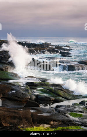 Am Abend Licht zeigt Wellen und hohe Brandung hämmerte der Basalt Küstenlinie entlang der zentralen Küste Oregons im Ruhestand. Stockfoto