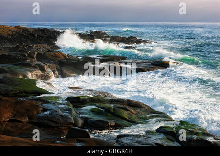 Am Abend Licht zeigt Wellen und hohe Brandung hämmerte der Basalt Küstenlinie entlang der zentralen Küste Oregons im Ruhestand. Stockfoto