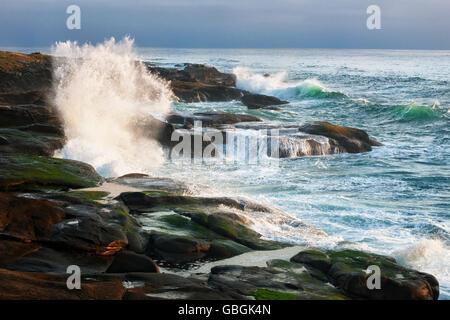 Am Abend Licht zeigt Wellen und hohe Brandung hämmerte der Basalt Küstenlinie entlang der zentralen Küste Oregons im Ruhestand. Stockfoto