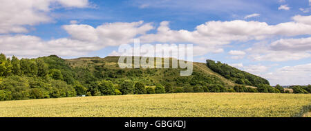 Battlesbury Hill in Wiltshire Panorama. Website der Eisenzeit Festung am Rand der Salisbury Plain, in der Nähe von Warminster, England, UK Stockfoto