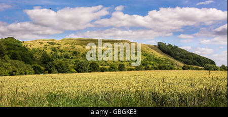 Battlesbury Hill in Wiltshire Panorama. Website der Eisenzeit Festung am Rand der Salisbury Plain, in der Nähe von Warminster, England, UK Stockfoto