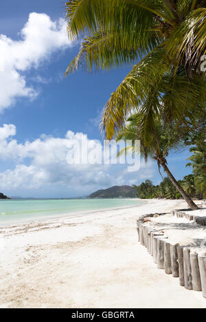 Tropischen Strandblick, Anse Volbert auf Praslin Island, Seychellen Stockfoto