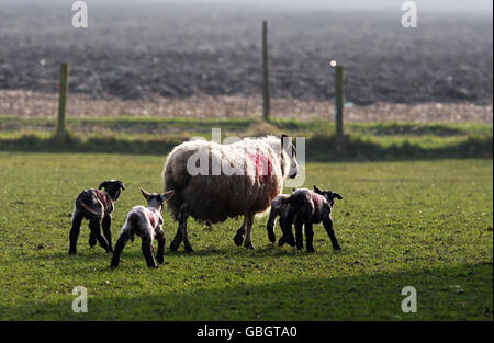 Das Wetter im Frühling Stockfoto