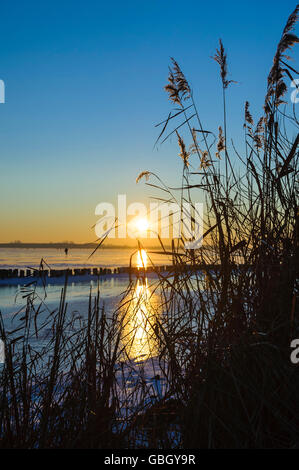 See-Dummer, Niedersachsen, Deutschland / See Dümmer, Dümmersee Stockfoto