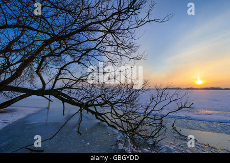 See-Dummer, Lembruch, Niedersachsen, Deutschland / See Dümmer, Dümmersee Stockfoto