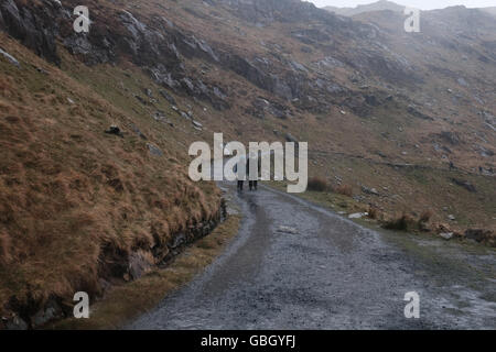 Snowdon Bergleute Weg bei nassem Wetter Stockfoto