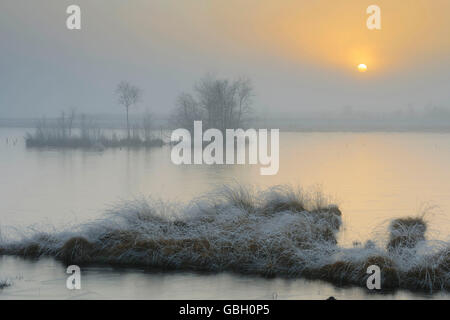 Goldenstedter Moor, Diepholzer Moorniederung, Niedersachsen, Deutschland Stockfoto